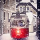 백양대로700번길 이미지