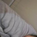 세수파파 이미지