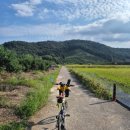 화포천생태습지공원 | 김해 봉하마을, 대통령의 자전거길 화포천습지 생태공원 라이딩(ft. 위미바이크 모델8)