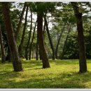 영주 소수서원 이미지