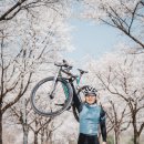 인다락벚꽃길 이미지