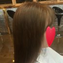 트레보헤어 이미지