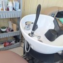 닥터우의원 이미지