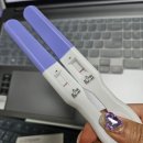 청룡서적 이미지