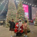 갈산면 부기마을회관 | 부산 산타빌리지 다녀온 후기