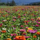 지리산 온천관광지 이미지