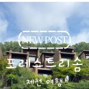 [제천 숙소] 숲속에서 프라이빗하게 힐링하는 포레스트 리솜 S25 빌라 클린 + 스파 후기