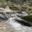 클럽프리모 이미지