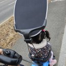 동탄4동어울림체육센터 | 은계1어울림센터 유아체육 한달 후기(4살)