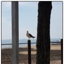 밧개회수산 이미지