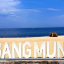 금송아지목장 이미지