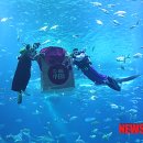 아쿠아플라넷63 이미지