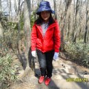 원광대학교 행정대학원 이미지