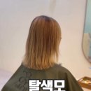 해봄붙임머리 이미지