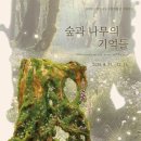 숲과 나무