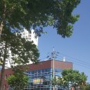 보성은하상가 이미지