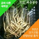 서준농산