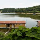 두메낚시터 | 여름철 붕어낚시 방법 두메낚시터 VIP2 특대형 수상좌대 낚시