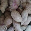 광성농장 이미지