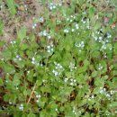 당하1호공원 이미지