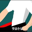 코어브랜더