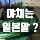 야채는 일본말이고, 채소는 우리말인가요? 이미지