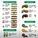 종로-신영-종로-영-115 | 종로 광장시장 맛집｜건강한 재료로 만든 힙한 초코파이, 쑥스 초코파이 서울
