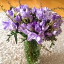 달이뜨면꽃이피고 이미지