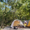 비슬산 숲속 오토캠핑장 이미지