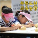 태극농장 Daum카페