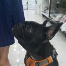 화전약국 이미지