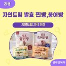 붕어빵드림 | 달지 않아 아이 간식으로 좋았던 자연드림 미니붕어빵 발효찐빵
