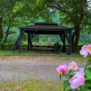 금빛 민박 이미지