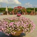 은파호수공원 이미지