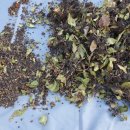 오남농장 이미지