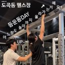 역삼제3 | 도곡동 헬스장 휴메이크휘트니스 역삼점 여자 등 운동 루틴 PT 후기