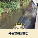 옥동양어장 횟집 | [영월] 강원도 영월 / 단양 송어회 철갑상어회 맛집, 옥동양어장횟집