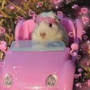 연탄구이주식회사 | 2026 예천 용궁순대축제 완벽 가이드｜맛집·회룡포 코스까지 한 번에