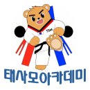 태사모 태권도 아카데미 이미지