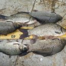 실리곡낚시터 이미지