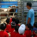 임씨네농장 이미지