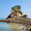 자갈마당 이미지