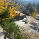 대지사슴농장 이미지