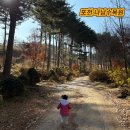 나남수목원(책박물관) | 포천 아이랑 가볼 만한 곳 한적해서 좋은 나남수목원