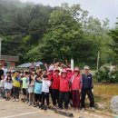 삼척남초등학교 이미지