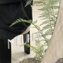 라노비아앤 | 3월의 신부🌸+(대구 디아몽 웨딩드레스+대구 누해브 메이크업) 전자관 노비아갈라 벨라지오 홀 본식후기