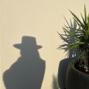 스테이 까미노 이미지