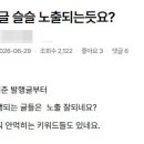 네이버 정상화 시기, 제가 직접 계산해 봤습니다