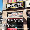 다복향 마라탕 | 안양 마라탕 맛집 추천 다복향 내돈내산 혼밥 후기
