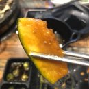 곱창사주는오빠 이미지